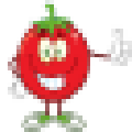 红蕃茄排课系统 V1.0 官方版