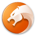 猎豹浏览器去升级最新版本 V8.0.0.21634 绿色免费版