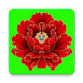 绿植花卉 V10.0.3 安卓版