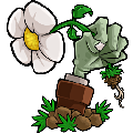 植物大战僵尸2010年度版修改器 V1.2 绿色免费版