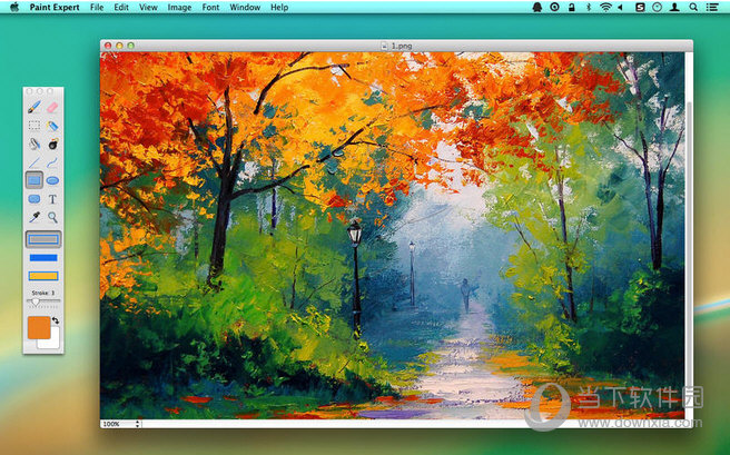 Paint Expert MAC版