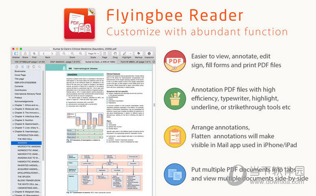 Flyingbee Reader MAC版