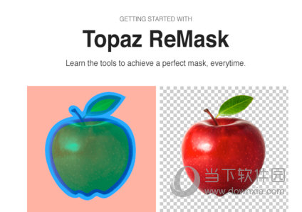 Topaz ReMask 下载