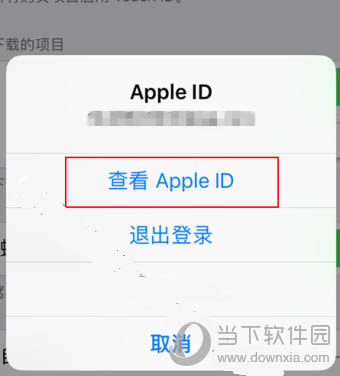 苹果手机查看ID