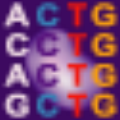 AlleleID(细菌寡核苷酸序列分析) V7.84 免费版