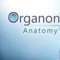 3D Organon Anatomy(人体解剖3d模型软件) V2017 绿色免费版