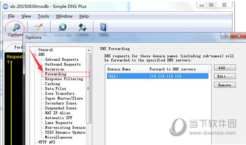Simple DNS Plus使用方法2