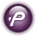 FlashPaper(文档转换软件) V2.2 官方版