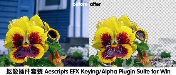 EFX KeyingAlpha Plugin Suite