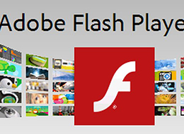 Adobe Flash Player V29.0.0.113发布