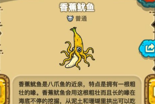 黑暗料理王第三章香蕉鱿鱼
