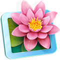 LilyView(Mac图片浏览器) V1.2.2 Mac版
