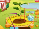 拼多多果园怎么种水果 果树种植方法