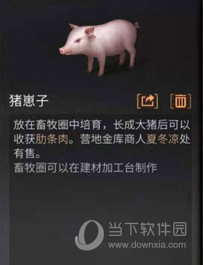 购买猪崽子