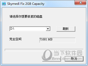 Skymedi Fix 2GB Capacity