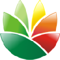 EximiousSoft Logo Designer(Logo设计工具) V3.90 官方版