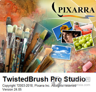 TwistedBrush Pro Studio软件