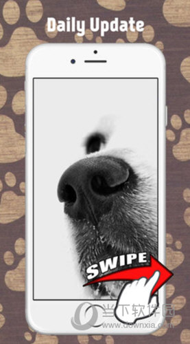 狗壁纸和背景iOS版