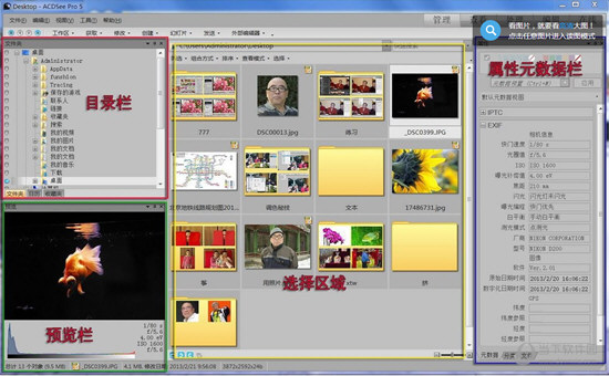 ACDSee Pro 5.0简体中文版