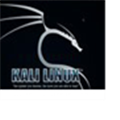 Kali Linux V2019.2 官方最新版