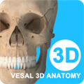 维萨里3D解剖 V6.2.1 最新PC版