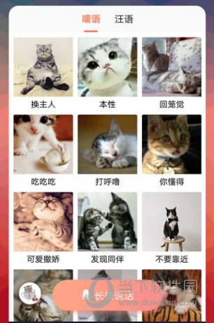 猫语翻译器免费下载中文版