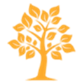 家谱树制作工具 V3.0 官方版