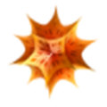 Mathematica V11.2 永久激活版