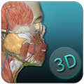人体解剖学图集APP破解版 V3.9.8 安卓免费版
