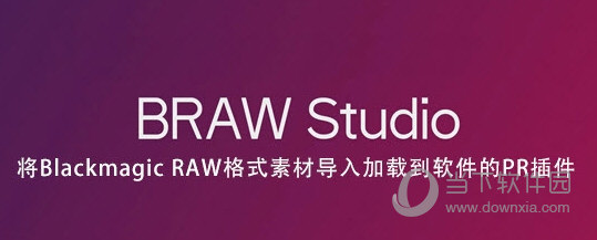 BRAW Studio插件