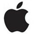 iPadian(苹果iPad模拟器) V4.0 绿色版