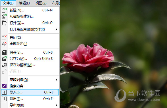 CorelDraw14简体中文版免费下载