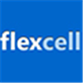 FlexCell表格设计器 V4.4.3 绿色版