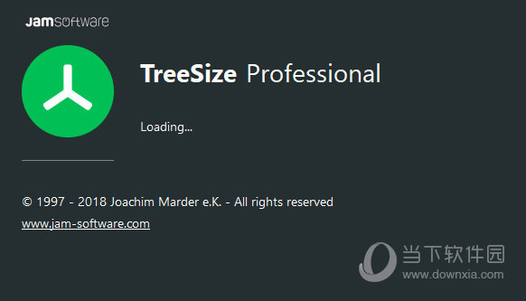 TreeSize Professional8破解版