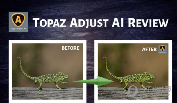 Topaz Adjust AI绿色版