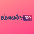 Elementor Pro破解版(wordpress页面插件) V3.1.1 中文破解汉化版