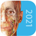 人体解剖学图谱电脑版 V2021.1.68 PC中文版