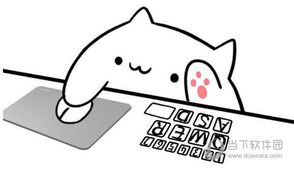 直播小猫咪按键盘
