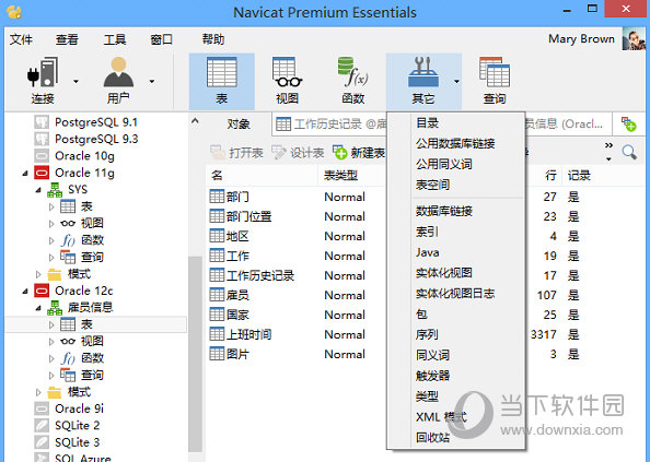 Navicat premium中文版