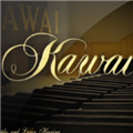 Kawai Pro Piano 最新免费版