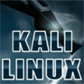 kali linux arm版 64位 V2022.2 官方最新版
