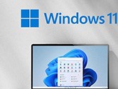 Windows11无线鼠标没反应怎么办 无法使用解决方法