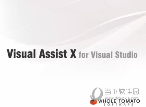 visual assist x2022