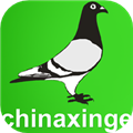 中国信鸽信息网手机版 V20231101 官方安卓版
