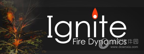 Ignite-Fire Dynamics