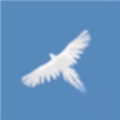 Sky Bird天之鸟 V1.0.2 安卓版