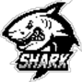 Shark上号器 V1.0 最新免费版