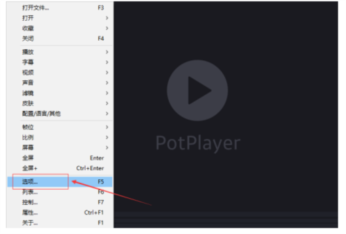 PotPlayer设置DIRAC数据预读流程图2