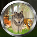 森林狩猎大师 V1.8 安卓最新版
