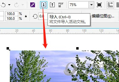 crd x8下载免费中文版